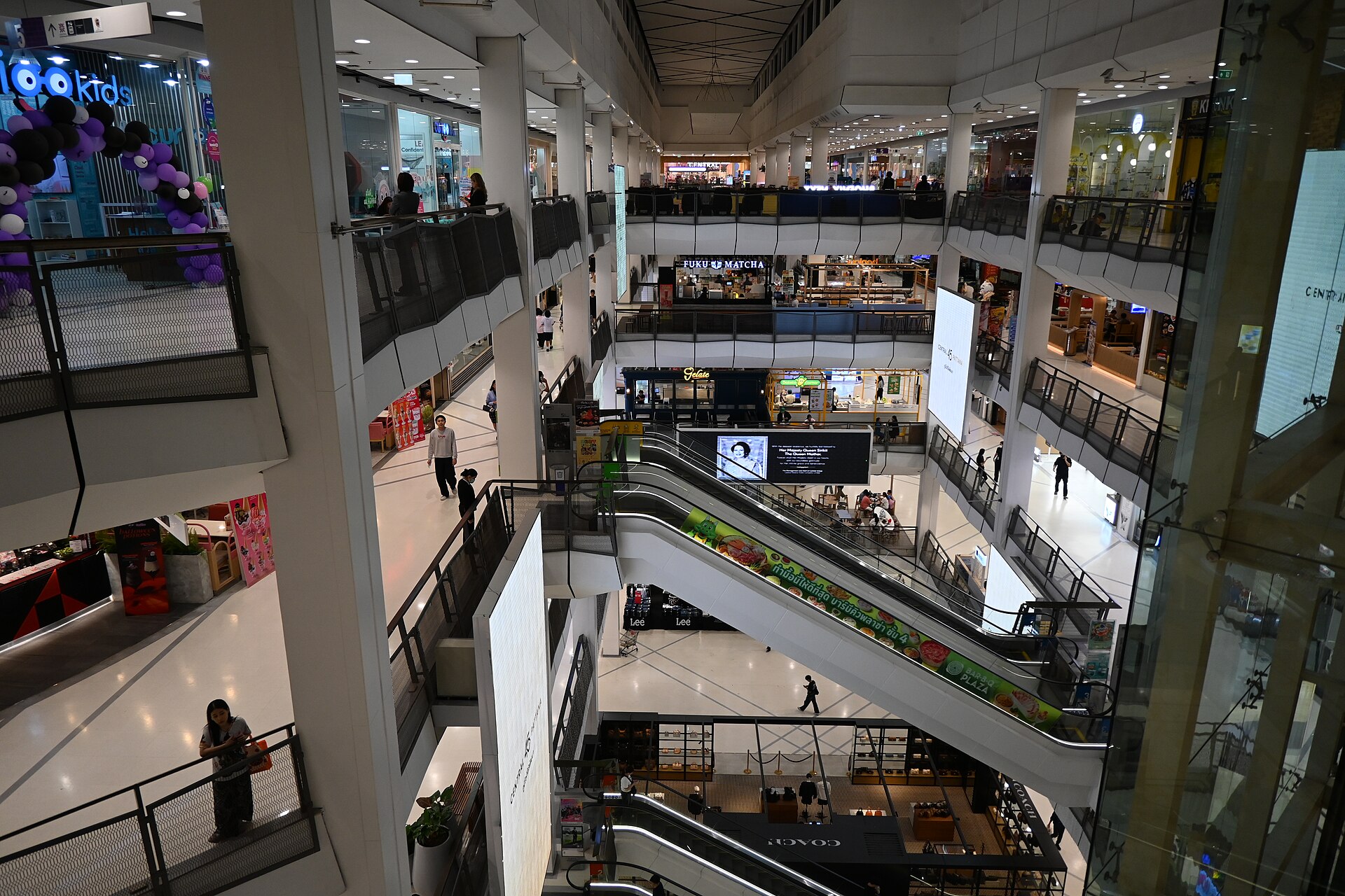 Multi-level galleries & escalators