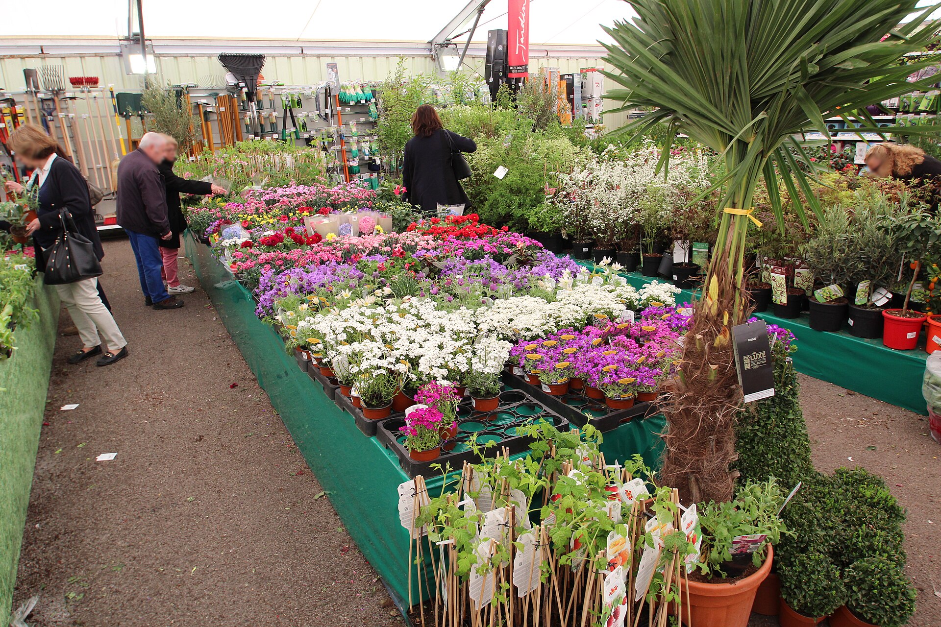 Picking plants in the garden centre